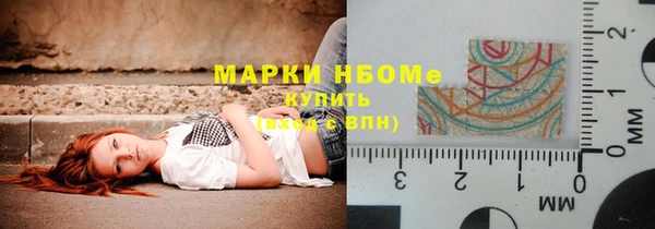 стаф Козельск