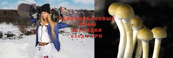 кокаин Дубна