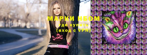 стаф Козельск