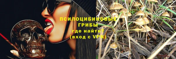 стаф Козельск