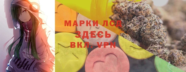 стаф Козельск