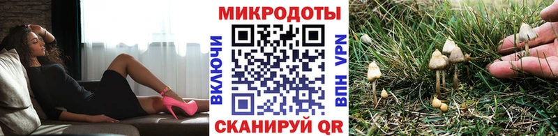 Купить где Верхний Уфалей Галлюциногенные грибы MAGIC MUSHROOMS